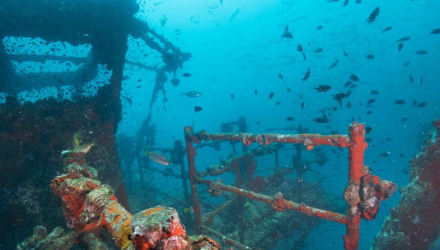 Buceo en el naufragio HTMS Chang - Foto 4