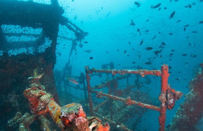 Buceo en el naufragio HTMS Chang - Foto 4