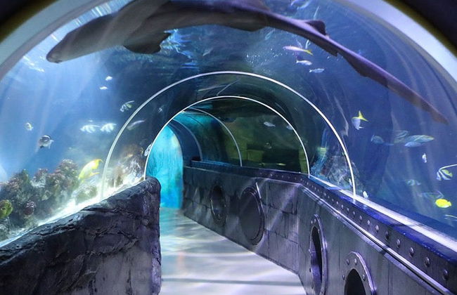Entrada a SEA LIFE® Constanza - Foto 4