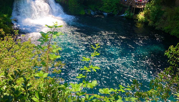 Tour panorâmico por Pucón - Foto 5