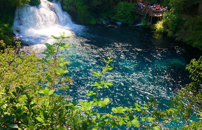 Tour panoramico di Pucón - Foto 5