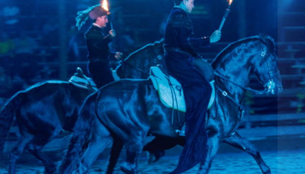 Parque Panaca Day Trip - Foto 3