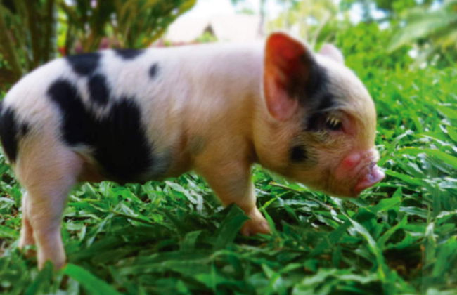 Parque Panaca Day Trip - Foto 2