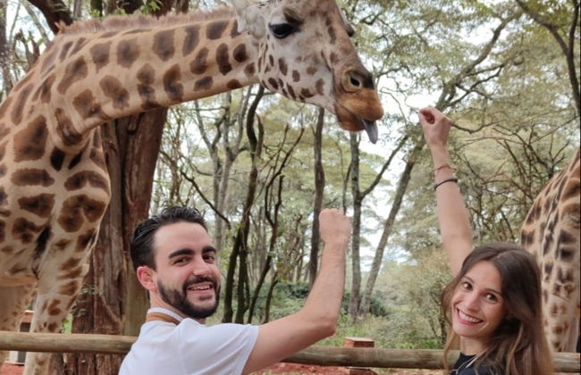 Giraffe Centre Tour - Photo 4