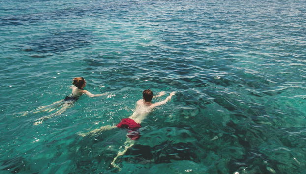 Ponza Island Boat Trip - Photo 2