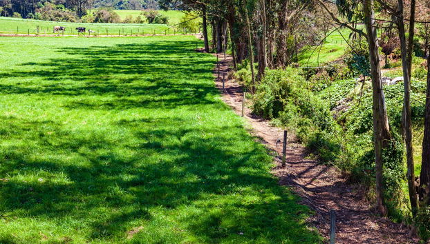 Trekking por el volcán Pasochoa - Foto 4