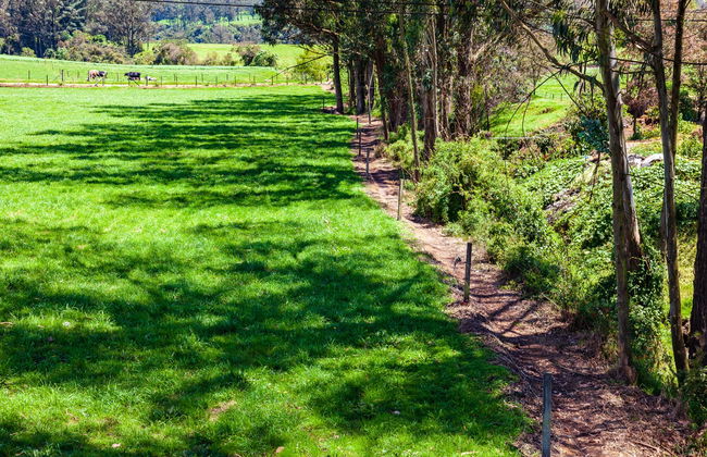 Trekking por el volcán Pasochoa - Foto 4
