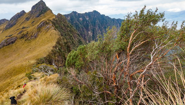 Trekking por el volcán Pasochoa - Foto 5