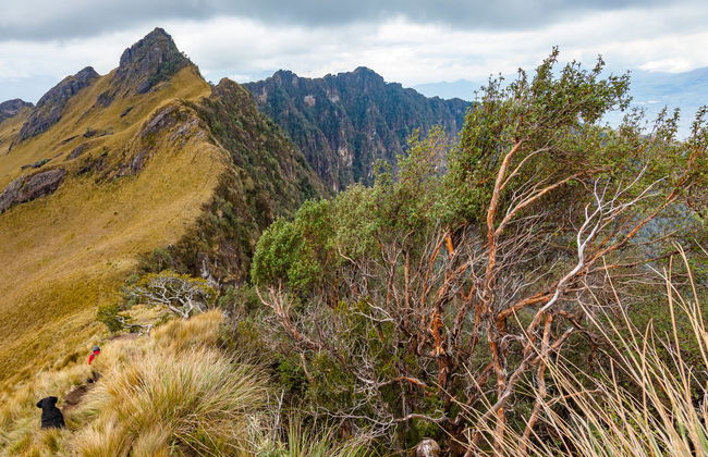Trekking por el volcán Pasochoa - Foto 5