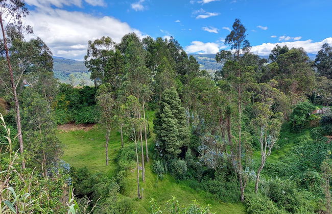 Trekking por el volcán Pasochoa - Foto 6