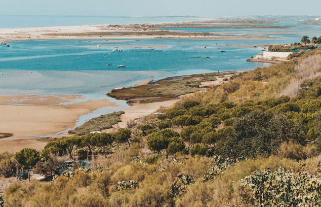 Tour di Ria Formosa in motoscafo - Foto 6