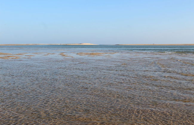 Tour di Ria Formosa in motoscafo - Foto 5