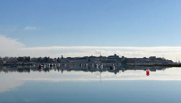 Paseo en lancha rápida por la Ría Formosa - Foto 2