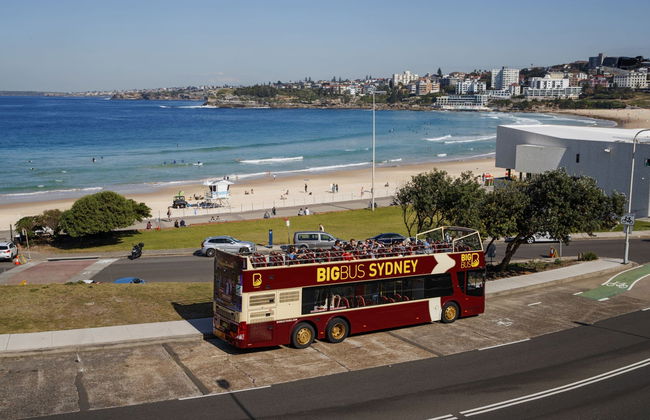 Autobus turistico di Sydney - Foto 2