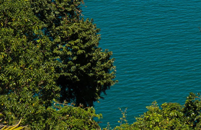 Maresias Beach Hiking Tour - Photo 7
