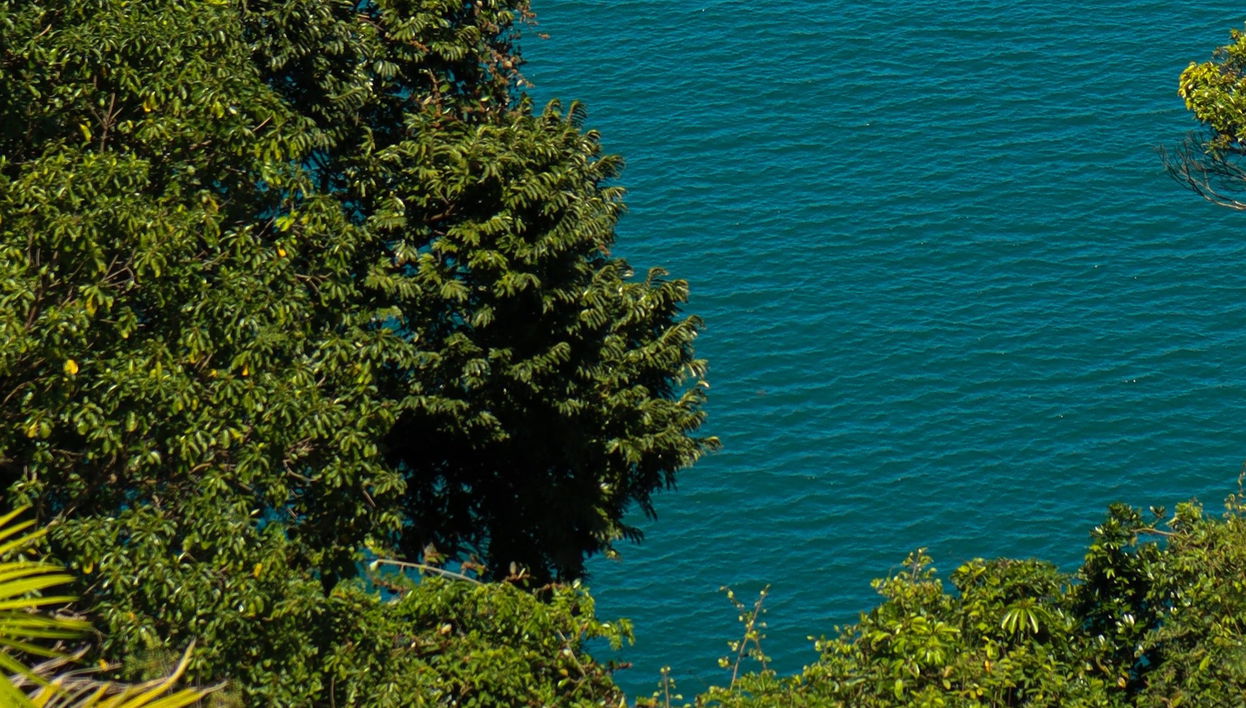 Maresias Beach Hiking Tour