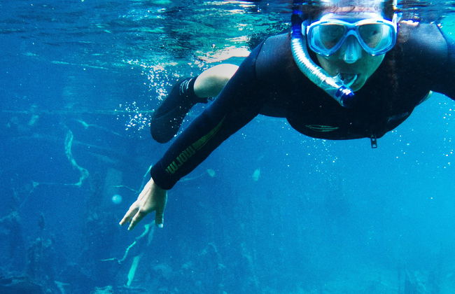 Snorkelling in the Prata & Olho d'Água Rivers - Photo 8