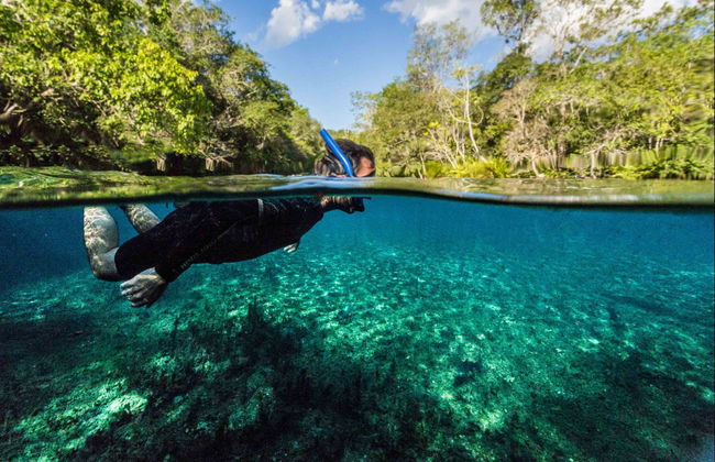 Snorkelling in the Prata & Olho d'Água Rivers - Photo 6