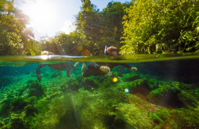 Snorkelling in the Prata & Olho d'Água Rivers - Photo 3