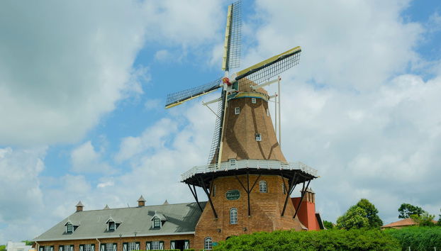 Carambeí + Castrolanda Tour - Photo 5