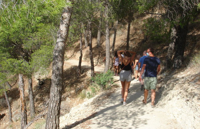 King's Little Pathway Tour - Photo 4