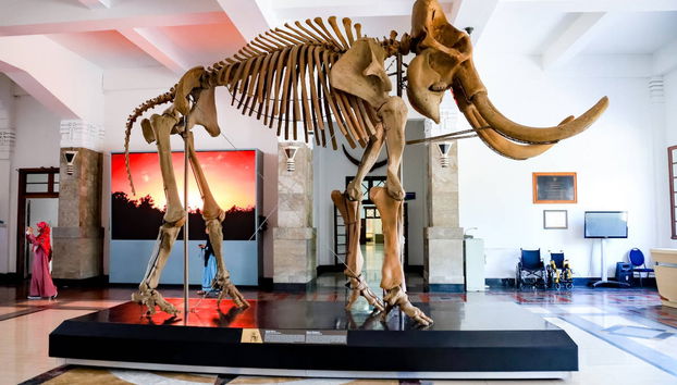 Visite privée de Bandung - Photo 4