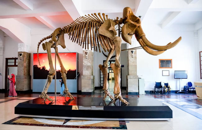 Visite privée de Bandung - Photo 4