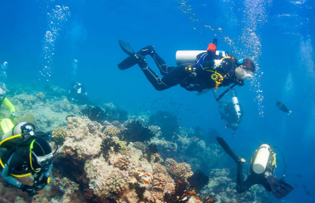 Nilaveli Fun Diving for Certified Divers - Foto 1