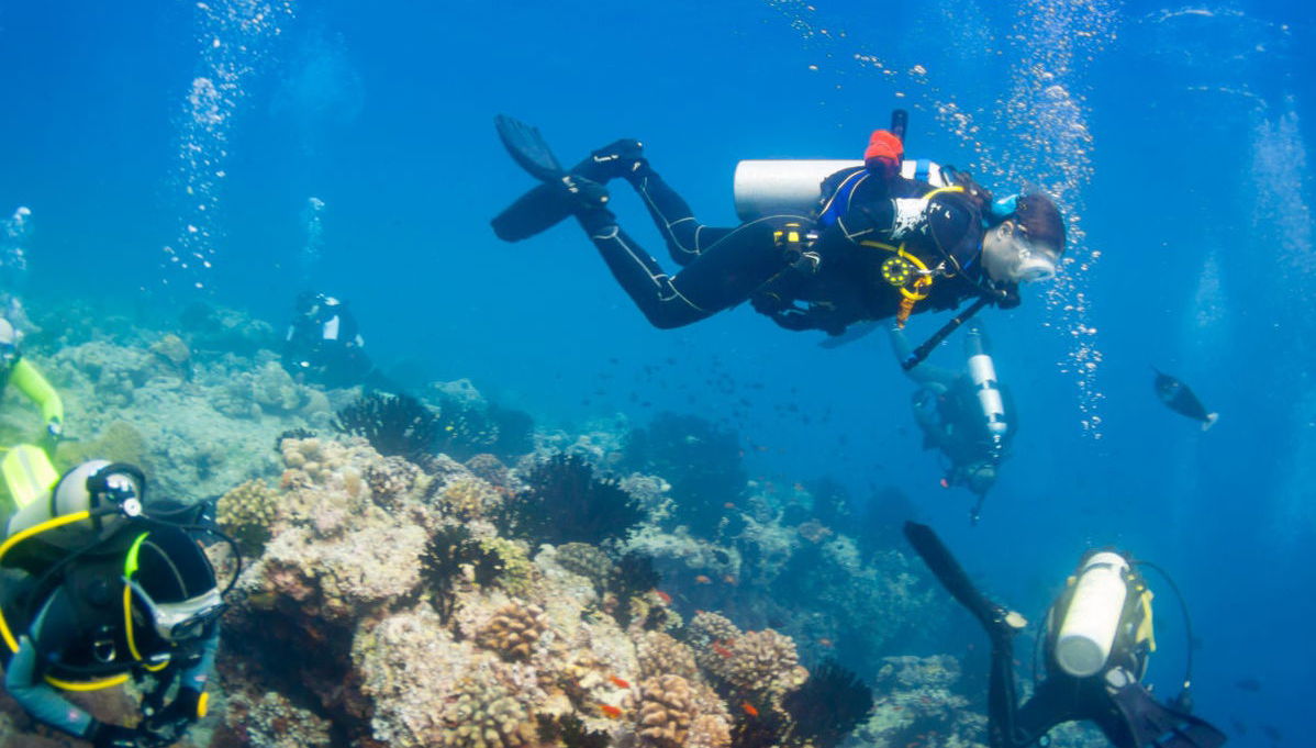 Nilaveli Fun Diving for Certified Divers - Foto 1