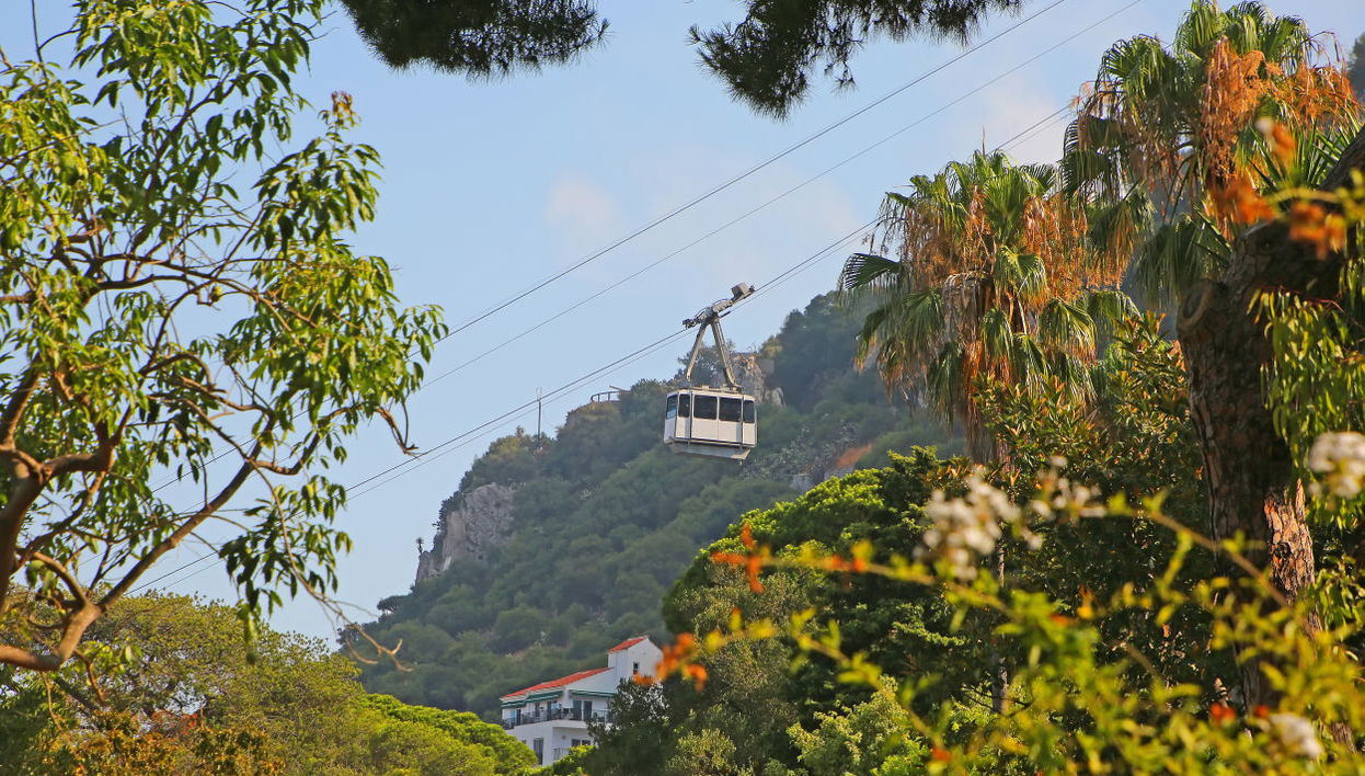 Entrada al teleférico de Gibraltar + Avistamiento de delfines - Foto 1