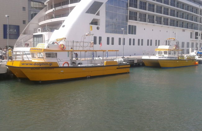 Entrada al teleférico de Gibraltar + Avistamiento de delfines - Foto 2