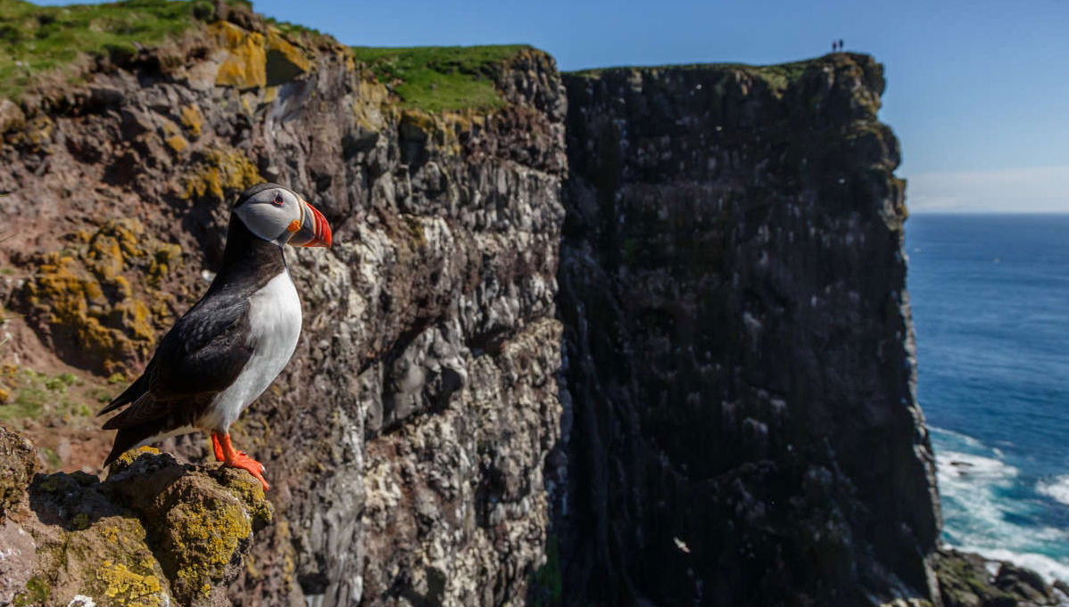 Látrabjarg & Raudasandur Day Trip - Foto 1