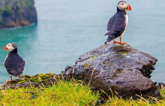 Excursión a Látrabjarg y Raudasandur - Foto 2