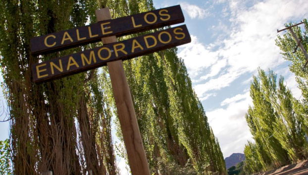 Excursion privée au Bosque Petrificado - Photo 2