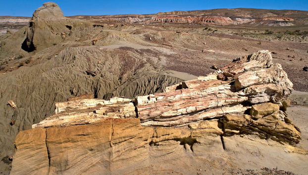 Excursion privée au Bosque Petrificado - Photo 5