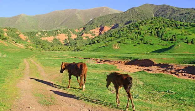 Private Chunkurchak Gorge Day Trip - Photo 2