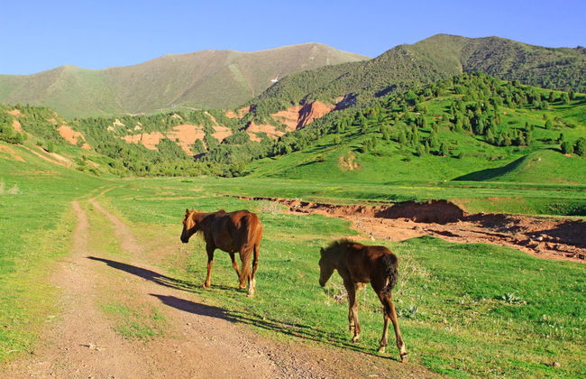 Excursión privada a Chunkurchak Gorge - Foto 2