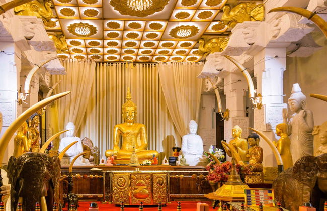 Circuito de 5 días por Sri Lanka - Foto 5