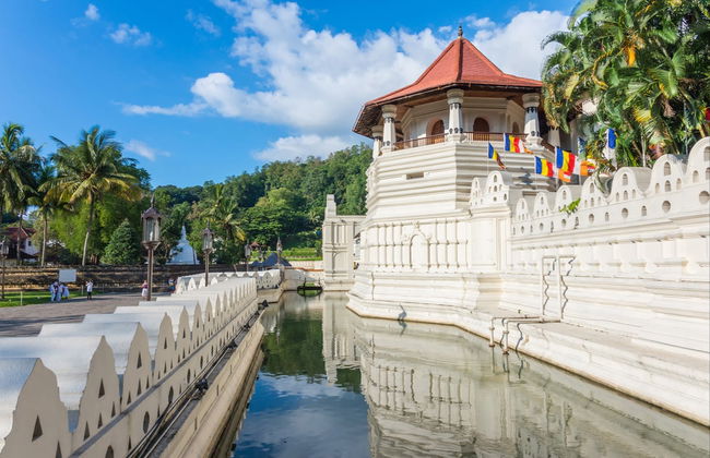 Circuito de 5 días por Sri Lanka - Foto 7