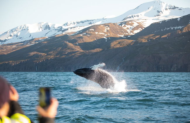 Avistamiento de ballenas en barco ecológico - Foto 2