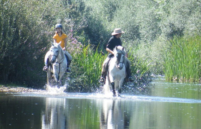 Paseo a caballo por las orillas del río Tormes - Foto 2