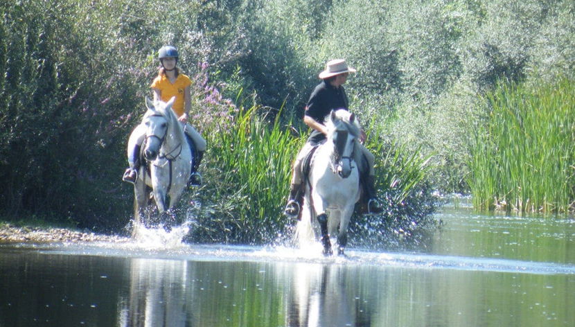 Paseo a caballo por las orillas del río Tormes - Foto 2