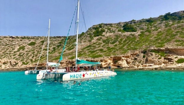 Paseo en catamarán a Illetes desde Palma - Foto 4