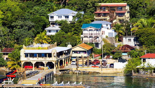 Roatan Guided City Tour - Foto 2