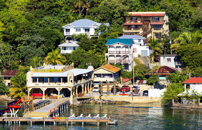 Roatan Guided City Tour - Foto 2