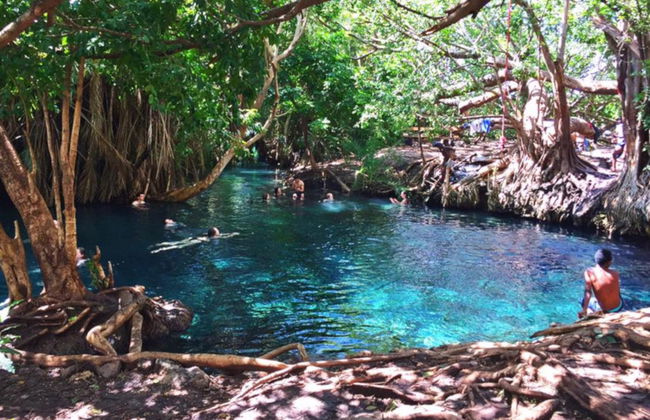 Kikuletwa Hotsprings Day Trip - Photo 1