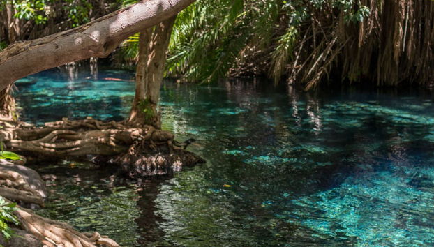 Kikuletwa Hotsprings Day Trip - Photo 4