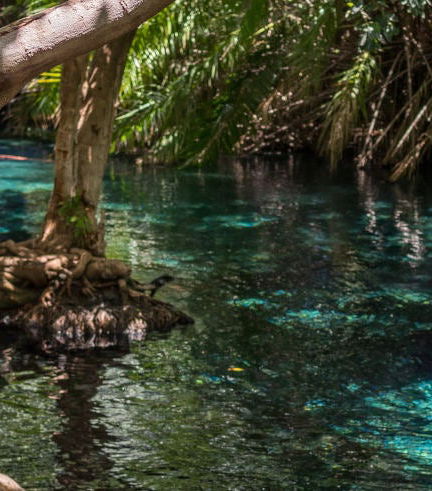 Foto - Excursão às águas termais de Kikuletwa
