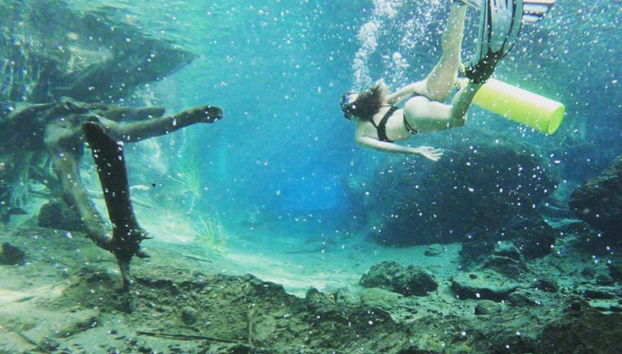 Kikuletwa Hotsprings Day Trip - Photo 2