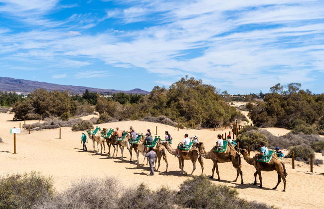Agadir Camel Ride - Photo 5